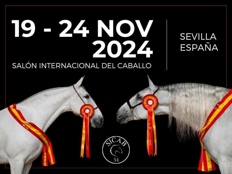 Sicab 2024, FERIA INTERNACIONAL DEL CABALLO 2024