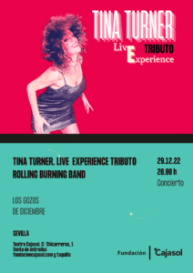 Cartel del Tributo a Tina Turner en Sevilla